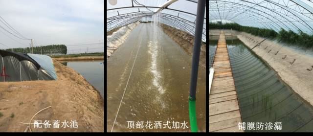 中國養殖基地 yzjidi.com