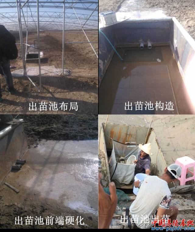 中國養殖基地 yzjidi.com