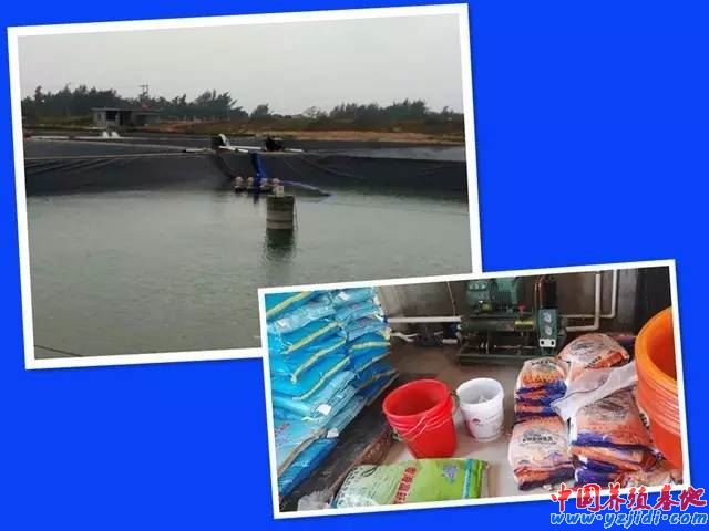 中國養殖基地 yzjidi.com
