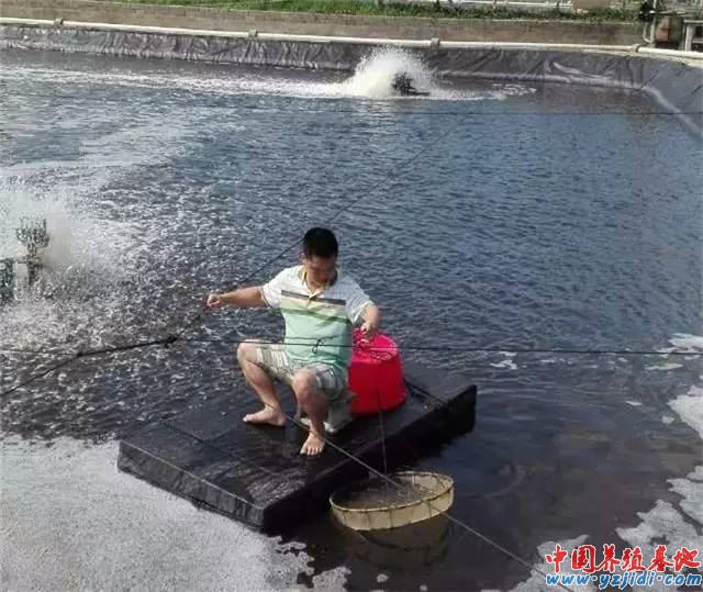 中國養殖基地 yzjidi.com