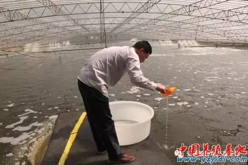 中國養殖基地 yzjidi.com