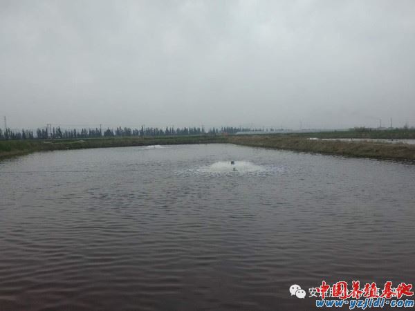 中國養殖基地 yzjidi.com