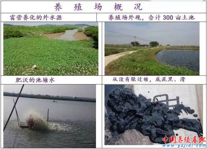 中國養殖基地 yzjidi.com