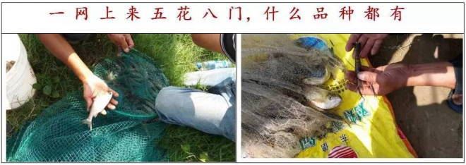 中國養殖基地 yzjidi.com