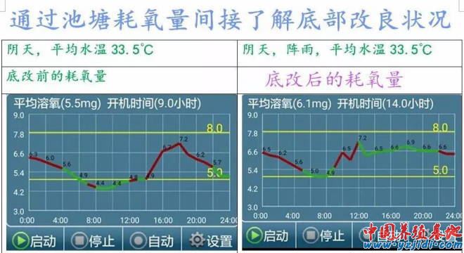 中國養殖基地 yzjidi.com