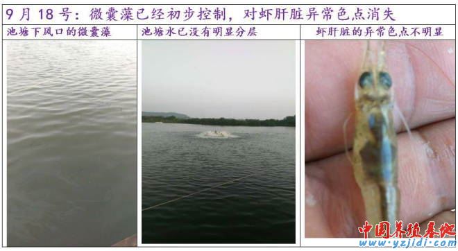 中國養殖基地 yzjidi.com