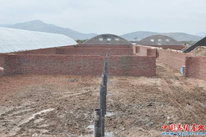 中國養殖基地 yzjidi.com
