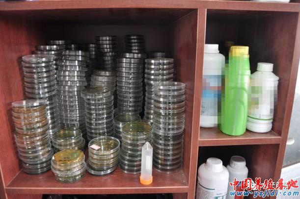 中國養殖基地 yzjidi.com
