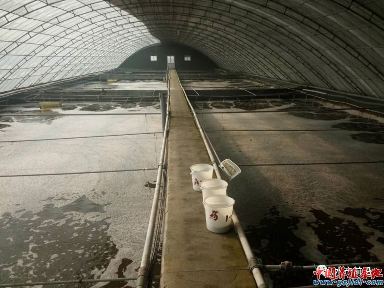 中國養殖基地 yzjidi.com