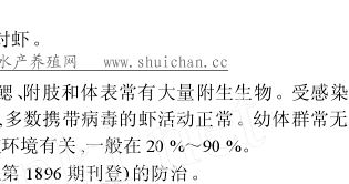 中國養殖基地 yzjidi.com