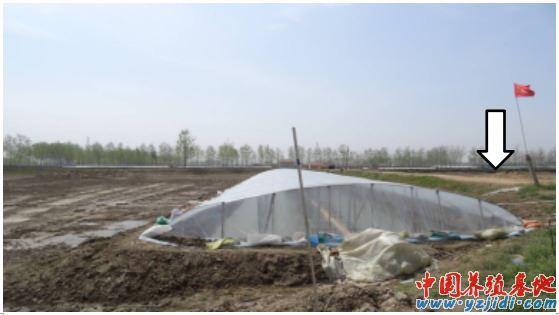 中國養殖基地 yzjidi.com