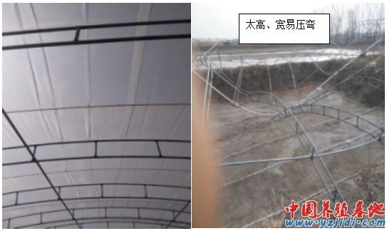 中國養殖基地 yzjidi.com