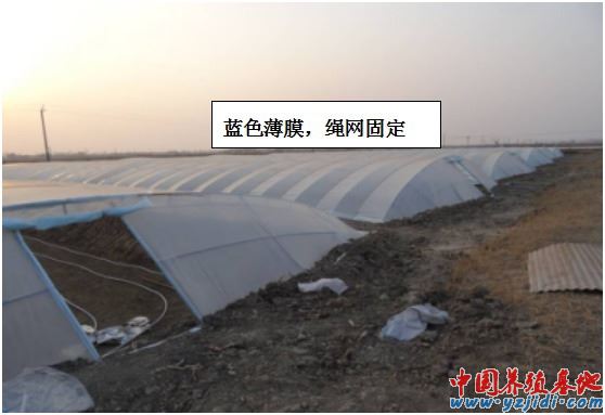 中國養殖基地 yzjidi.com