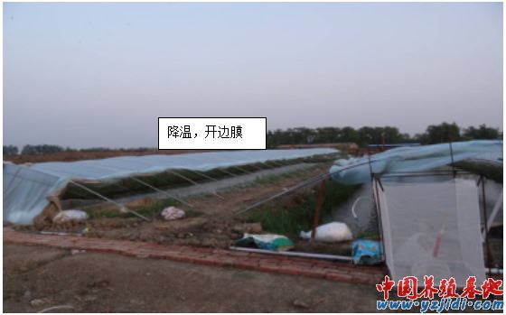 中國養殖基地 yzjidi.com