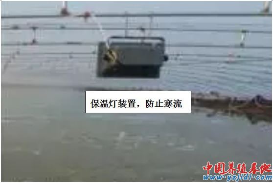 中國養殖基地 yzjidi.com