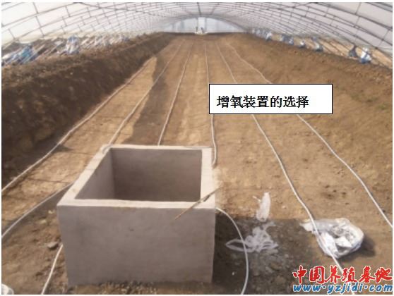 中國養殖基地 yzjidi.com