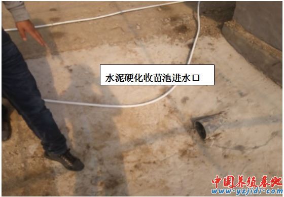 中國養殖基地 yzjidi.com