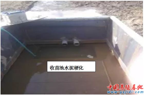 中國養殖基地 yzjidi.com