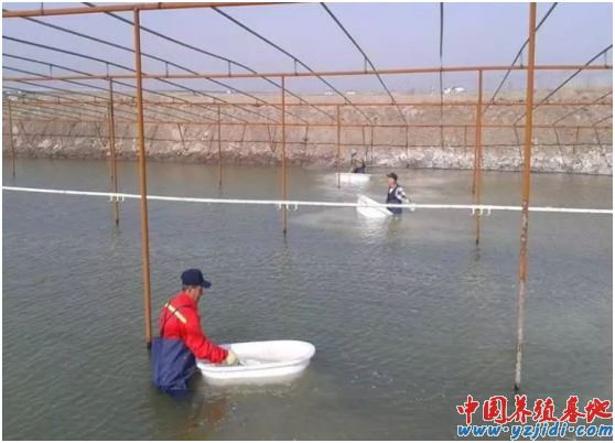 中國養殖基地 yzjidi.com