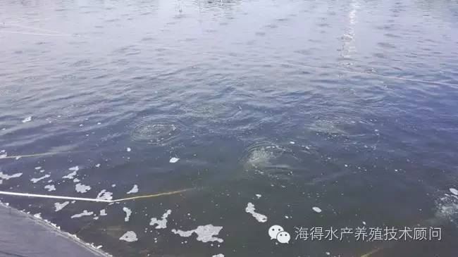 中國養殖基地 yzjidi.com