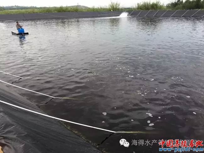 中國養殖基地 yzjidi.com
