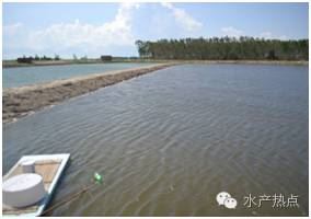 中國養殖基地 yzjidi.com