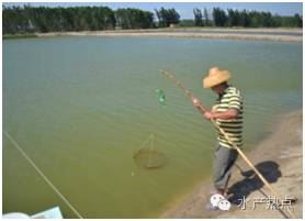中國養殖基地 yzjidi.com