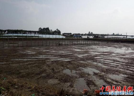 中國養殖基地 yzjidi.com