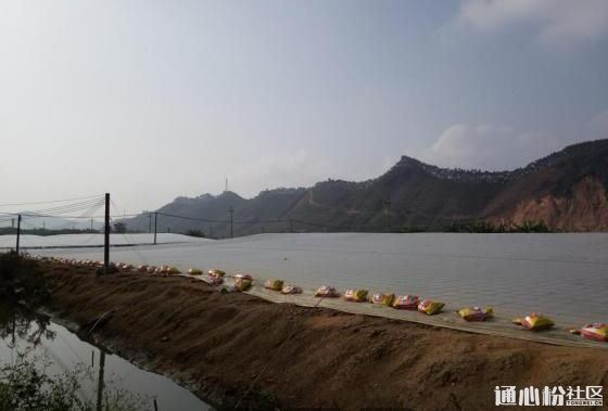 中國養殖基地 yzjidi.com