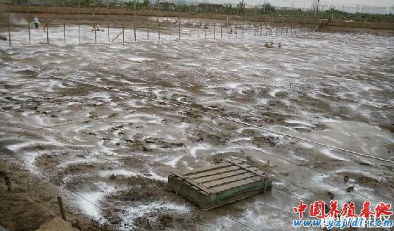 中國養殖基地 yzjidi.com