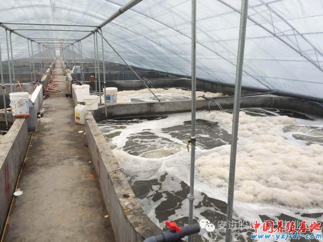 中國養殖基地 yzjidi.com