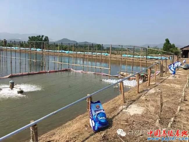 中國養殖基地 yzjidi.com