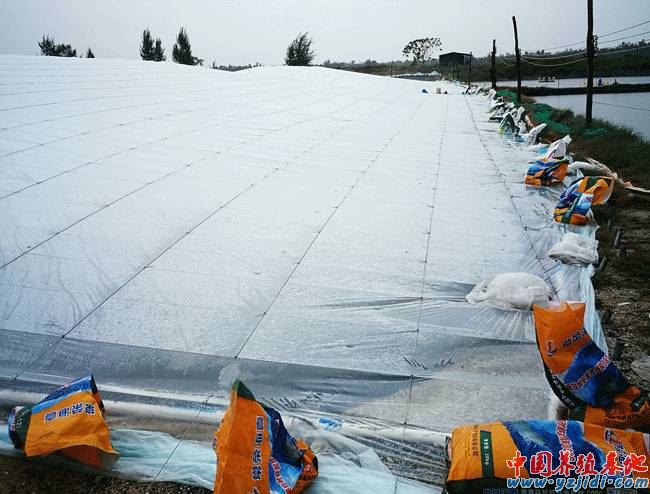 中國養殖基地 yzjidi.com
