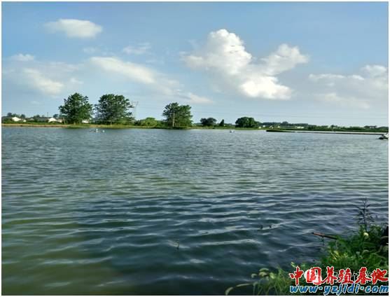 中國養殖基地 yzjidi.com