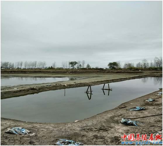中國養殖基地 yzjidi.com
