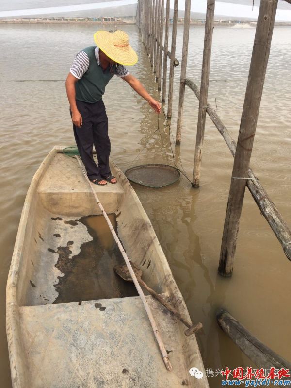 中國養殖基地 yzjidi.com