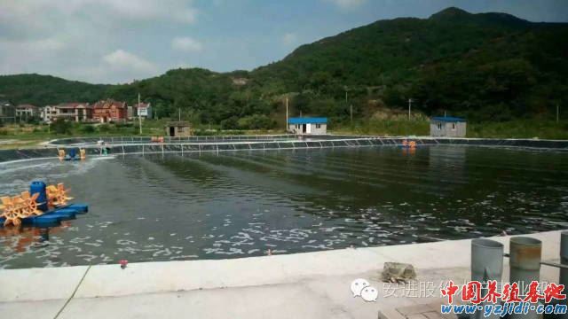 中國養殖基地 yzjidi.com