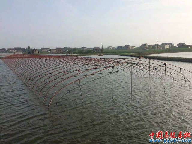 中國養殖基地 yzjidi.com