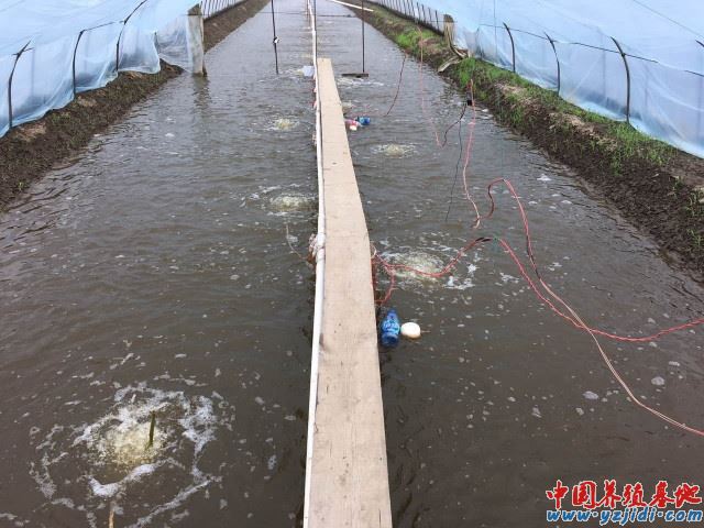 中國養殖基地 yzjidi.com