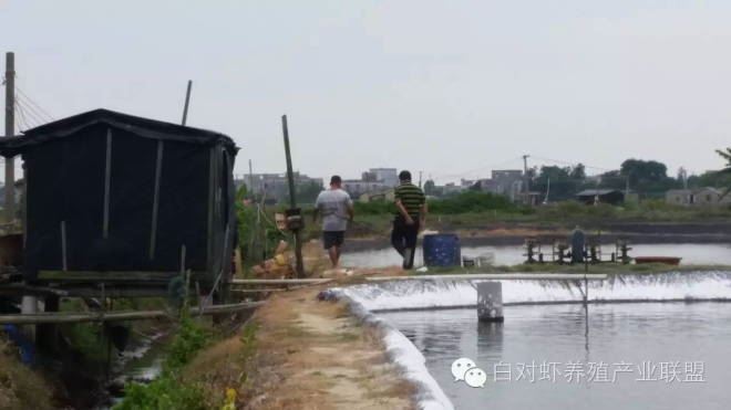 中國養殖基地 yzjidi.com