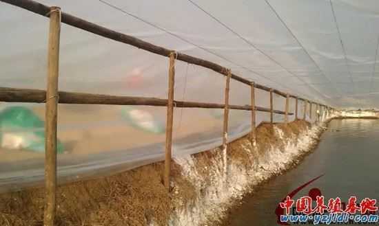 中國養殖基地 yzjidi.com
