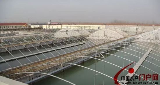 中國養殖基地 yzjidi.com