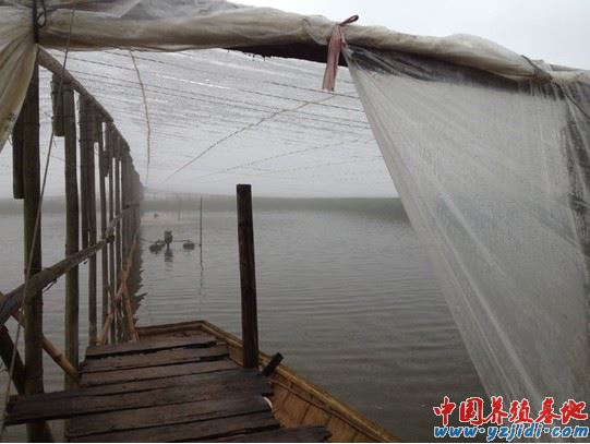 中國養殖基地 yzjidi.com