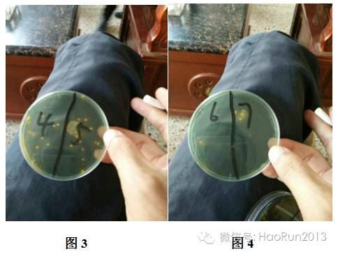 中國養殖基地 yzjidi.com