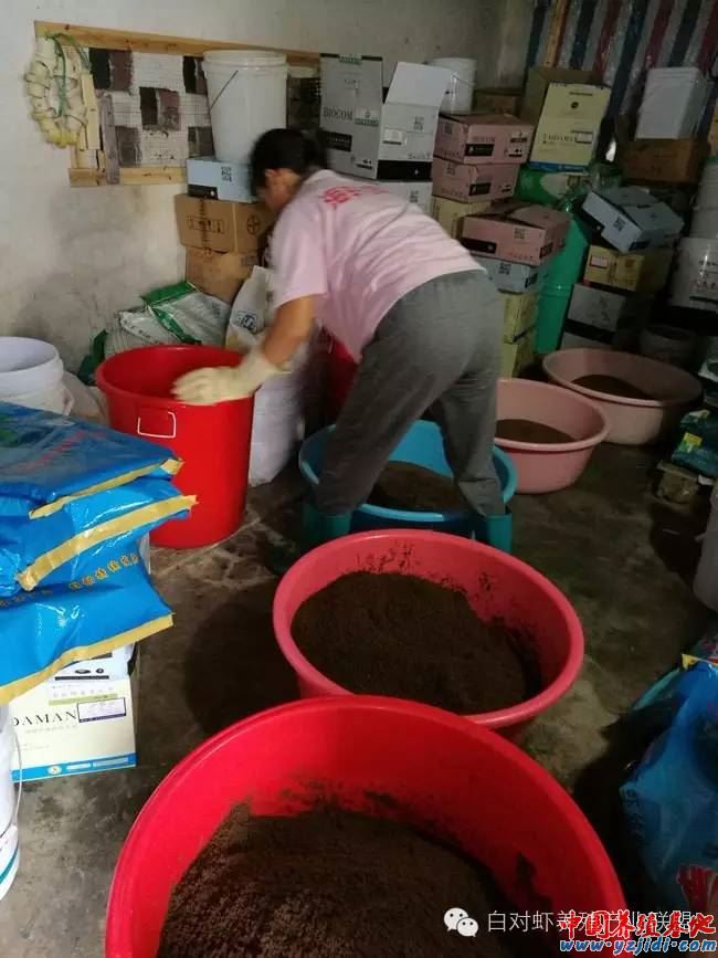 中國養殖基地 yzjidi.com