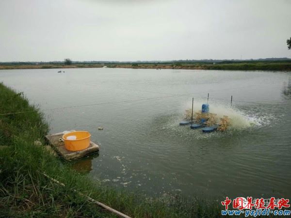 中國養殖基地 yzjidi.com