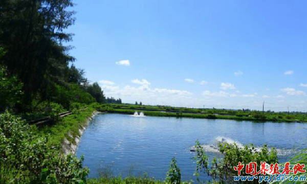 中國養殖基地 yzjidi.com