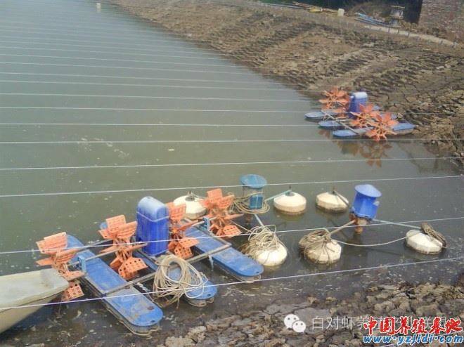 中國養殖基地 yzjidi.com