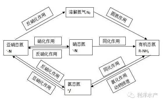 中國養殖基地 yzjidi.com