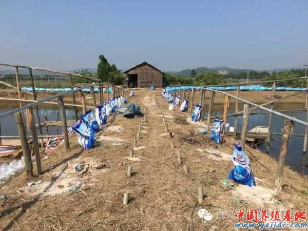 中國養殖基地 yzjidi.com